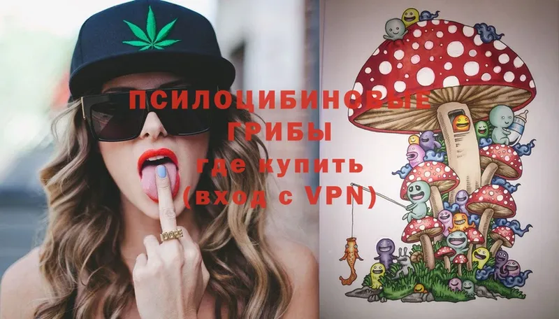 Псилоцибиновые грибы Psilocybine cubensis  Лениногорск 